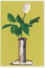 White Rose by David Hockney contemporary artwork Works on Paper