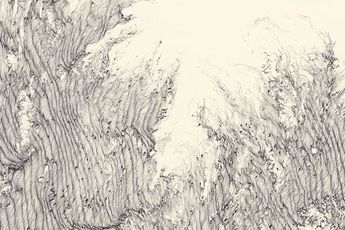 Wai Pong-Yu contemporary artist