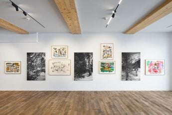 Contemporary art exhibition Gunther Forg Mostly Landscapes at Tarmak22 Gstaad