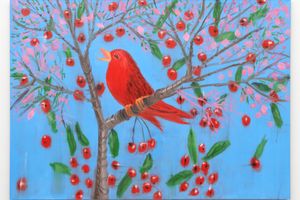 Ann Craven