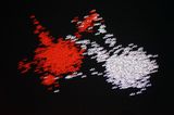 by Charles Sandison contemporary artwork moving image