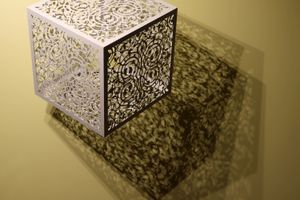 Anila Quayyum Agha