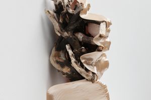 Edith Dekyndt