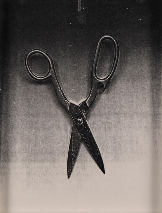 Untitled scissors by Pati Hill contemporary artwork Print