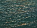 Untitled November 18 2013 538PM by Richard Misrach contemporary artwork Photography