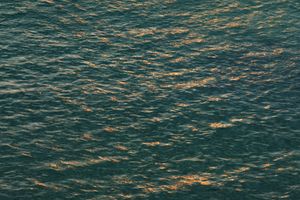 Richard Misrach