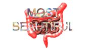 INTESTINOLOGY Series 01 We Have The Most Beautiful Intestine by Joo Choon Lin contemporary artwork Moving Image