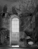 12.11.2000 Huia Kakapo Kiwi Kea. The Onslow Room Clandon Park Surrey England. by Mark Adams contemporary artwork Photography