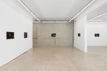 Contemporary art exhibition Alain Guiraudie Alain Guiraudie at Crevecoeur ParisCascades France