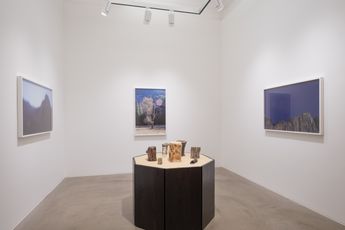 Contemporary art exhibition Catherine Opie So long as they are wild at Lehmann Maupin Hong Kong