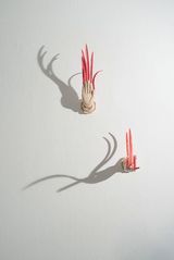 Invisible Dragon by Le Hien Minh contemporary artwork sculpture works on paper