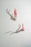 Invisible Dragon by Le Hien Minh contemporary artwork Works on Paper
