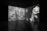 Triste champignonniste by Anne-Charlotte Finel contemporary artwork moving image sculpture