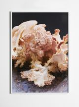 Fruiting Bodies by Flo Maak contemporary artwork sculpture