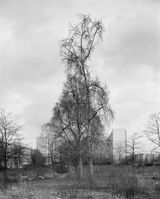 Monalisen der Vorstadte Berlin by Ute Mahler  Werner Mahler contemporary artwork photography