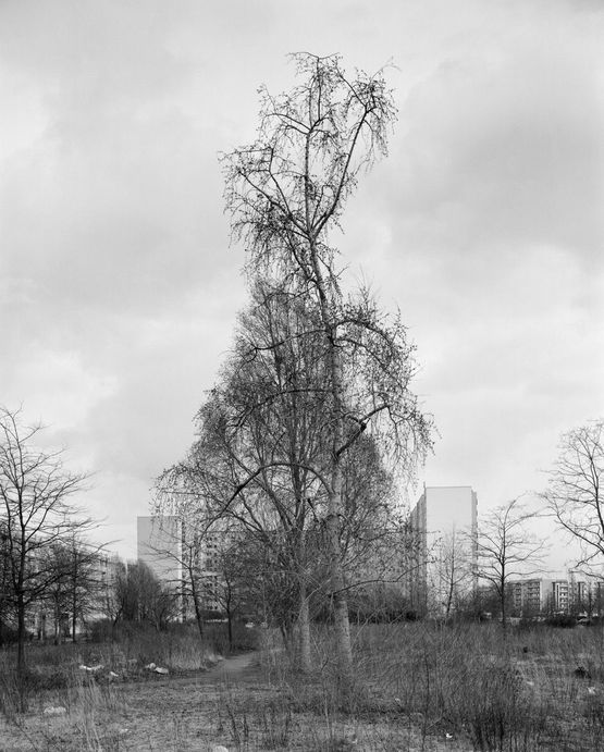 Monalisen der Vorstadte Berlin by Ute Mahler  Werner Mahler contemporary artwork Photography