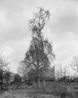 Monalisen der Vorstadte Berlin by Ute Mahler Werner Mahler contemporary artwork Photography