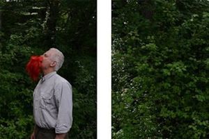 Andy Goldsworthy