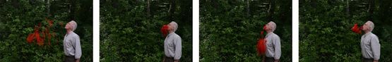 Poppy spits Digne France 10 June 2015 by Andy Goldsworthy contemporary artwork Photography