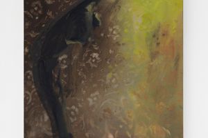 Han Xinyu