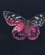 Cyborg Butterfly 6 by Yoshiaki Nakamura contemporary artwork painting