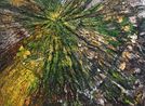 Rocks at the Beginning II by Tamara Haddad contemporary artwork Painting