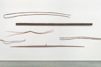 Martin Puryear contemporary artist