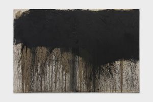 Hermann Nitsch