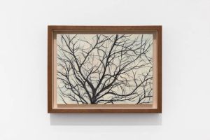 Han Jin
