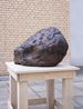 Bucephalus by William Tucker contemporary artwork Sculpture