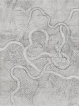 prop.5 proukn by Nolan Oswald Dennis contemporary artwork drawing
