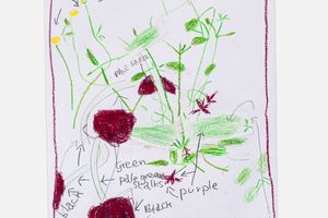 Rose Wylie