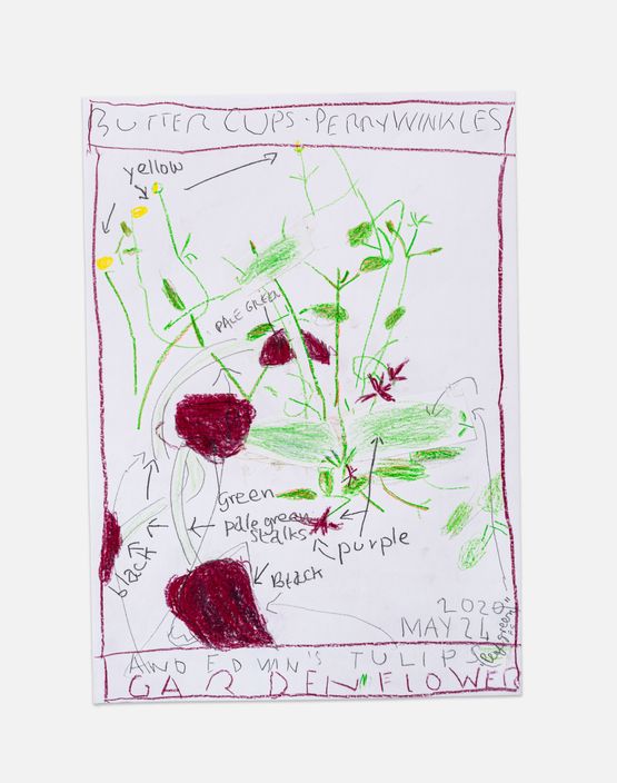Edwins Garden Flowers by Rose Wylie contemporary artwork Works on Paper