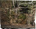 Manifest XXIII by Tenzing Dakpa contemporary artwork Photography
