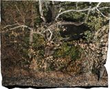 Manifest XXIII by Tenzing Dakpa contemporary artwork photography