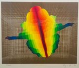 This is Not Kafkas Insect by Ay-O contemporary artwork print