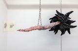 Please Do Not Feed by Echo Youyi Yan contemporary artwork drawing sculpture