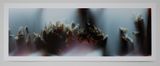Bruissement 4 by Anne Noble contemporary artwork photography
