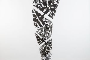 Conrad Shawcross