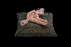 PixCell-Uterus Anatomy by Kohei Nawa contemporary artwork Mixed Media