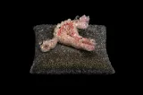 PixCell-Uterus Anatomy by Kohei Nawa contemporary artwork mixed media