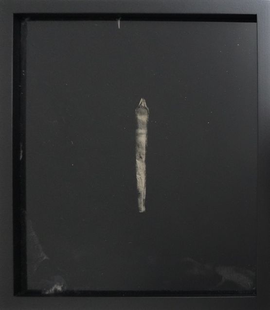 Etherized objects 73 by Raena Abella contemporary artwork Photography