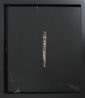 Etherized objects 73 by Raena Abella contemporary artwork Photography