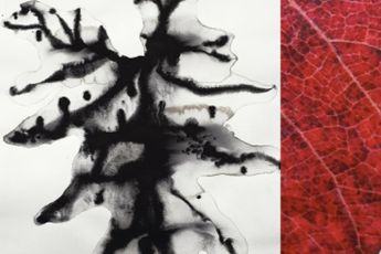 Barbara Edelstein contemporary artist