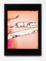 Ripe by Justine Varga contemporary artwork photography