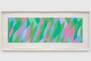 Bridget Riley