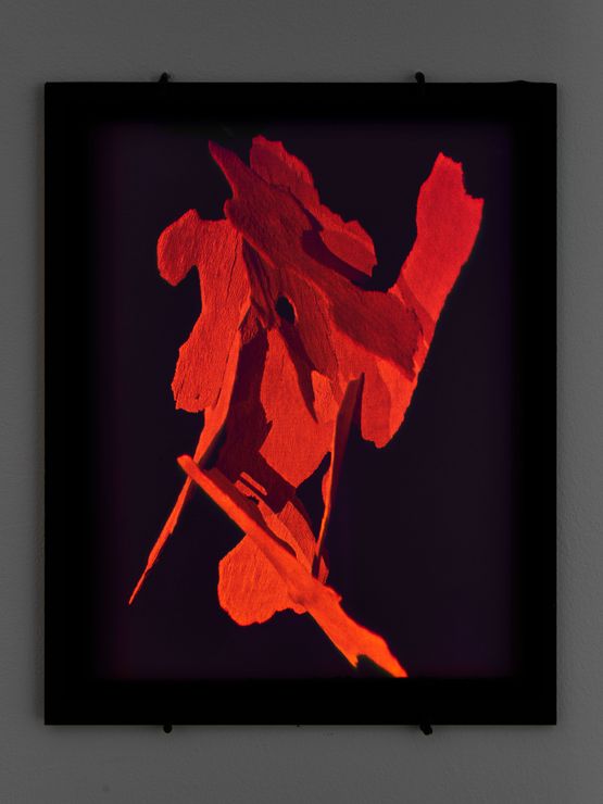 Hologram Mask by Daniel Steegmann Mangrane contemporary artwork Mixed Media