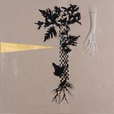 Arrangement for The Galapagos Pteris pedata after Darwin by Caroline Rothwell contemporary artwork mixed media