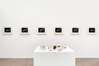 Contemporary art exhibition Giuseppe Penone Geometria Nelle Mani at Marian Goodman Gallery New York United States