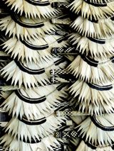 Fans Fiji by Peter Peryer contemporary artwork photography